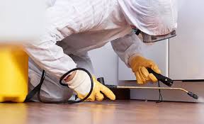 Best Pest Exclusion Services  in Albany, MO